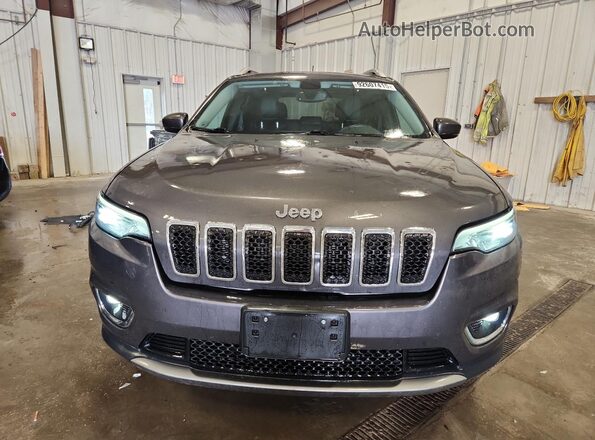1C4PJMDX0LD562990 2020 JEEP CHEROKEE Gray Widok z przodu