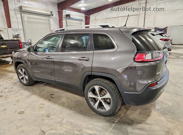 1C4PJMDX1KD217966 2019 JEEP CHEROKEE Gray Задня ліва чверть