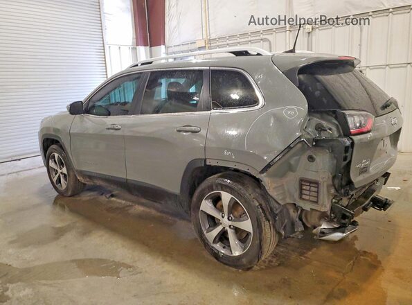 1C4PJMDX1LD583119 2020 JEEP CHEROKEE Gray უკანა მარცხენა