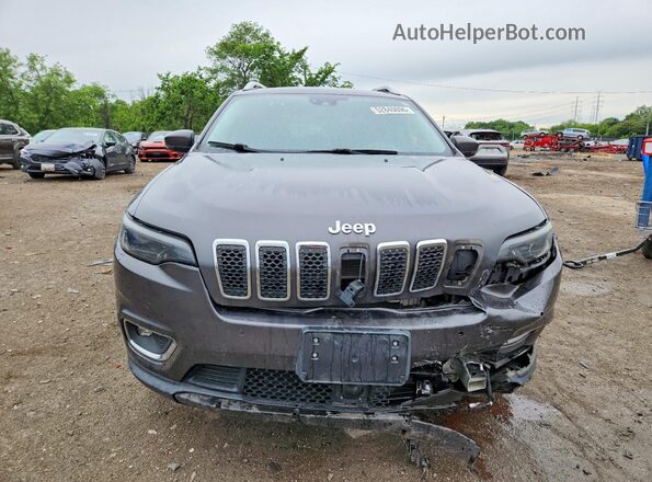 1C4PJMDX2KD422325 2019 JEEP CHEROKEE Gray Widok z przodu