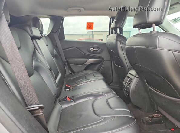 1C4PJMDX2KD423295 2019 JEEP CHEROKEE Серебряный Вид задней части салона