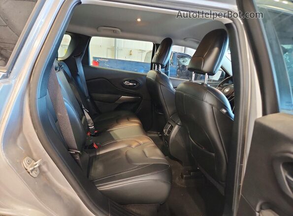 1C4PJMDX3LD506607 2020 JEEP CHEROKEE Серебряный Вид задней части салона