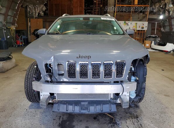 1C4PJMDX3LD507417 2020 JEEP CHEROKEE Gray Դիմացի տեսք