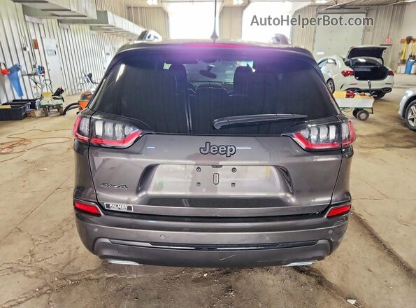 1C4PJMDX5KD414607 2019 JEEP CHEROKEE Gray Вид ззаду
