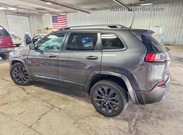 1C4PJMDX5KD414607 2019 JEEP CHEROKEE Gray Задня ліва чверть