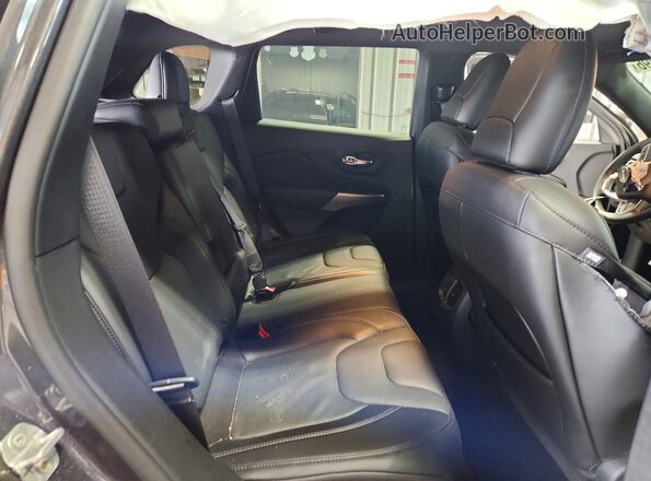 1C4PJMDX5KD414607 2019 JEEP CHEROKEE Gray Вид задньої частини салону
