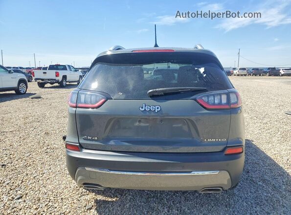 1C4PJMDX5LD651700 2020 JEEP CHEROKEE Gray უკანა ხედი