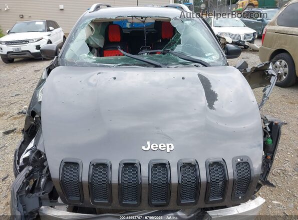 1C4PJMDX6JD576289 2018 JEEP CHEROKEE Gray Вид ззаду