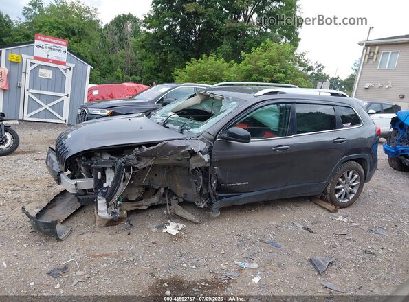 1C4PJMDX6JD576289 2018 JEEP CHEROKEE Gray Панорамний вид салону 360°