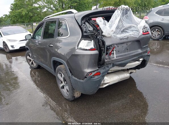 1C4PJMDX6KD118480 2019 JEEP CHEROKEE Gray Tył lewy