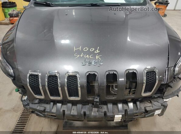 1C4PJMDX8JD607218 2018 JEEP CHEROKEE Серый Вид сзади