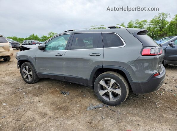 1C4PJMDX8LD544611 2020 JEEP CHEROKEE Gray Հետևի ձախ