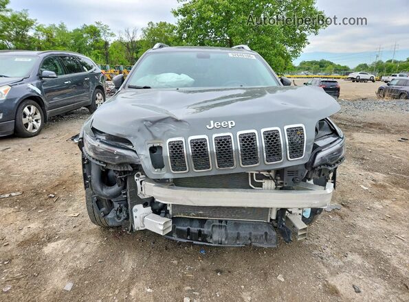 1C4PJMDX8LD544611 2020 JEEP CHEROKEE Gray Դիմացի տեսք
