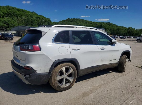 1C4PJMDX9MD231262 2021 JEEP CHEROKEE White Tył prawy