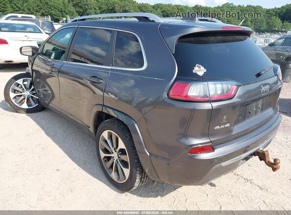 1C4PJMJN9KD233528 2019 JEEP CHEROKEE Gray Tył lewy