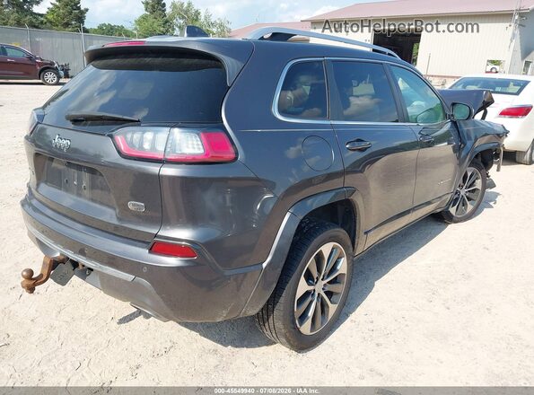 1C4PJMJN9KD233528 2019 JEEP CHEROKEE Gray Tył prawy