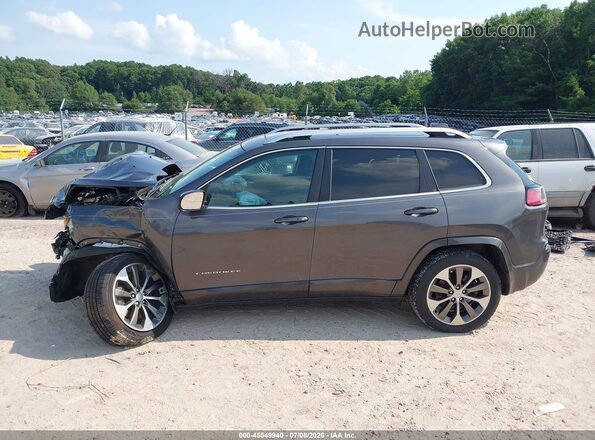 1C4PJMJN9KD233528 2019 JEEP CHEROKEE Gray 