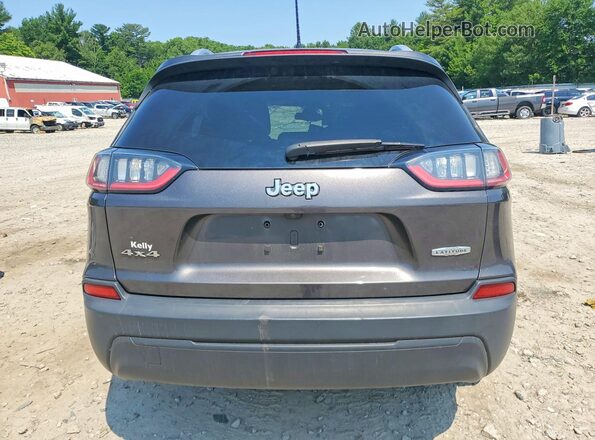1C4PJMLB3KD191439 2019 JEEP CHEROKEE Серый Вид сзади