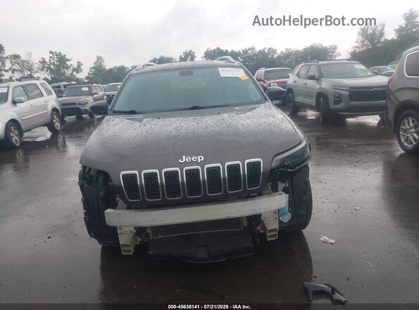 1C4PJMLB3KD195183 2019 JEEP CHEROKEE Gray Vista interior trasera