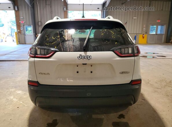 1C4PJMLB5LD500393 2020 JEEP CHEROKEE Белый Вид сзади