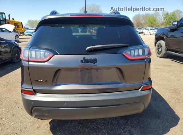 1C4PJMLB5LD584344 2020 JEEP CHEROKEE Gray უკანა ხედი