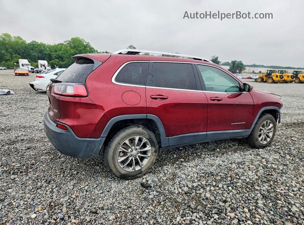 1C4PJMLB6KD304882 2019 JEEP CHEROKEE Red უკანა მარჯვენა