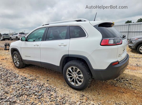 1C4PJMLB7MD190586 2021 JEEP CHEROKEE White Задня ліва чверть