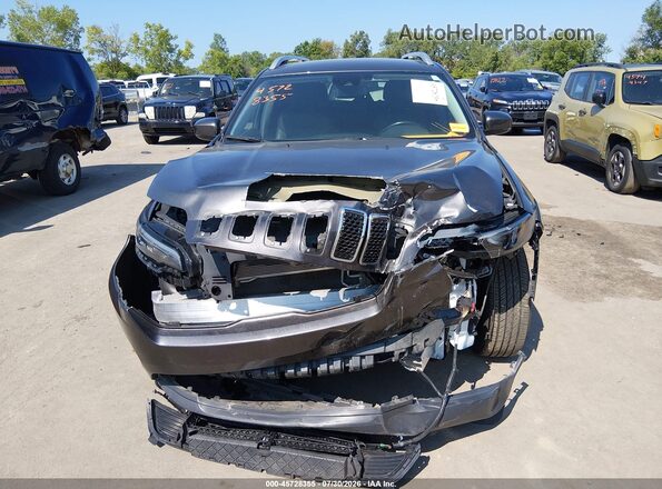 1C4PJMLXXLD631279 2020 JEEP CHEROKEE Серый Вид задней части салона