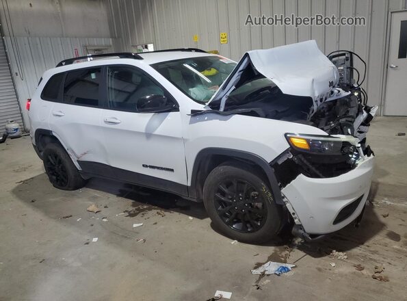1C4PJMMB1PD115109 2023 JEEP CHEROKEE White 