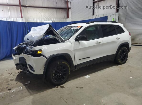 1C4PJMMB1PD115109 2023 JEEP CHEROKEE White 
