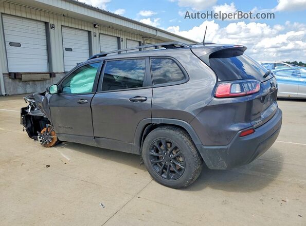 1C4PJMMB2PD112252 2023 JEEP CHEROKEE Gray Задня ліва чверть