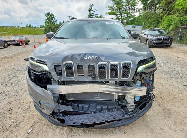 1C4PJMMXXMD193959 2021 JEEP CHEROKEE Gray Widok z przodu