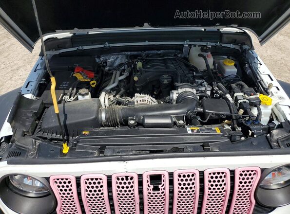 1C4PJXDG4RW277501 2024 JEEP WRANGLER White Vista del compartimento del motor