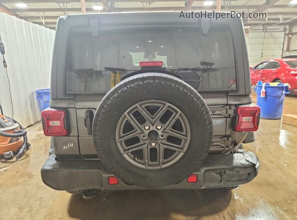 1C4PJXDG7RW282420 2024 JEEP WRANGLER Gray Հետևի տեսք