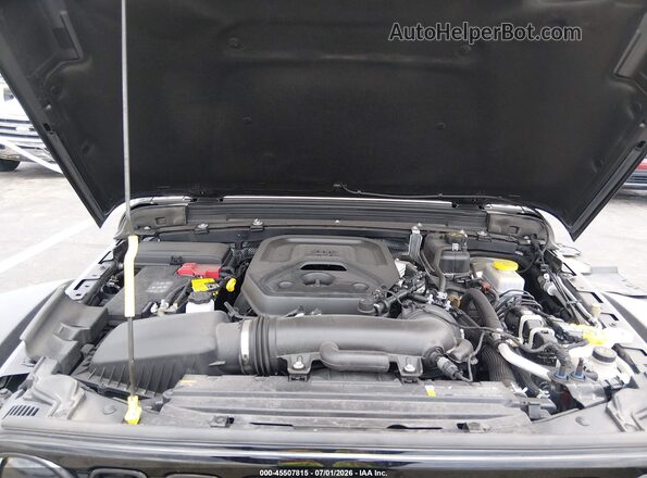 1C4PJXDN5SW552832 2025 JEEP WRANGLER Gray Rear view