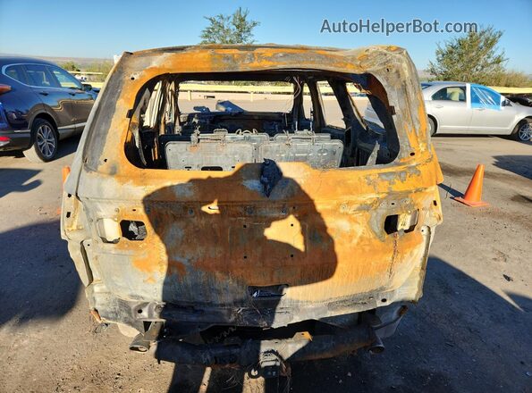 1C4RDJDG5PC555723 2023 DODGE DURANGO Burn Вид ззаду