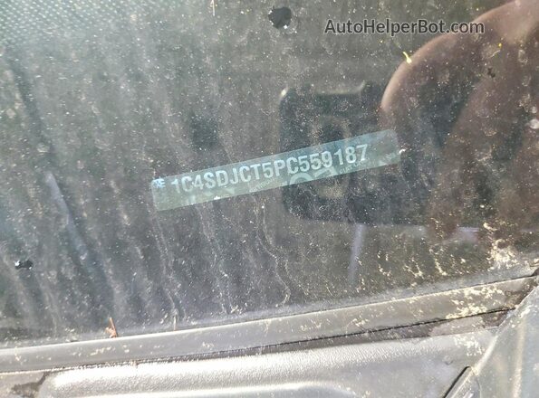 1C4SDJCT5PC559187 2023 DODGE DURANGO Серый Вид наклейки с VIN-кодом