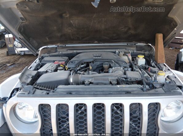 1C6HJTAG0LL212694 2020 JEEP GLADIATOR Gray Widok z tyłu