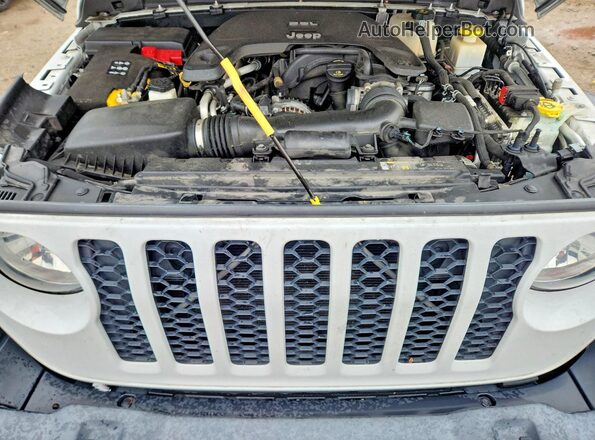 1C6HJTAG1LL113205 2020 JEEP GLADIATOR White უკანა სალონის ხედი