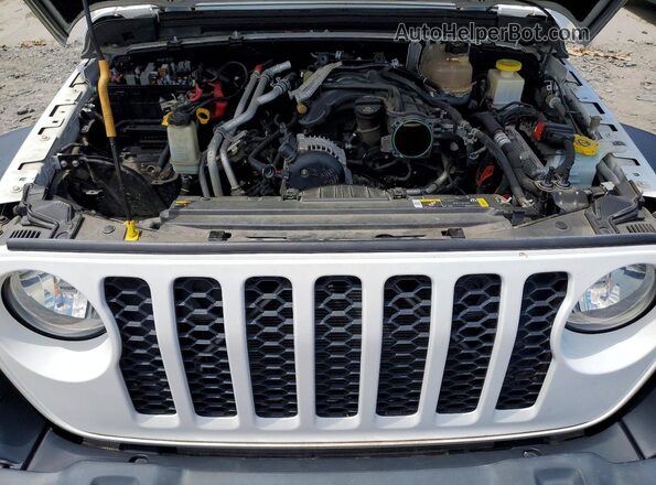 1C6HJTAG2ML512626 2021 JEEP GLADIATOR White Սալոնի հետևի տեսք