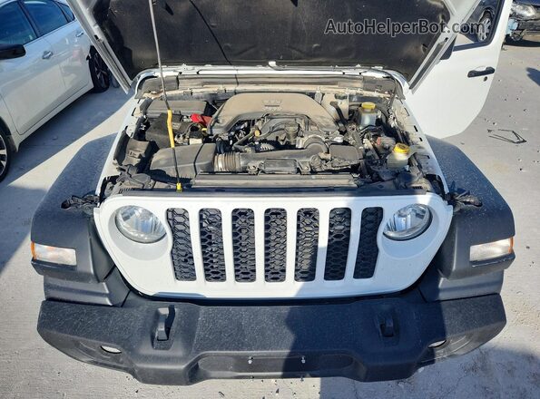 1C6HJTAG6LL129254 2020 JEEP GLADIATOR White Սալոնի հետևի տեսք
