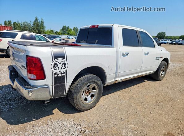 1C6RR7LM1GS158342 2016 RAM 1500 White Tył prawy