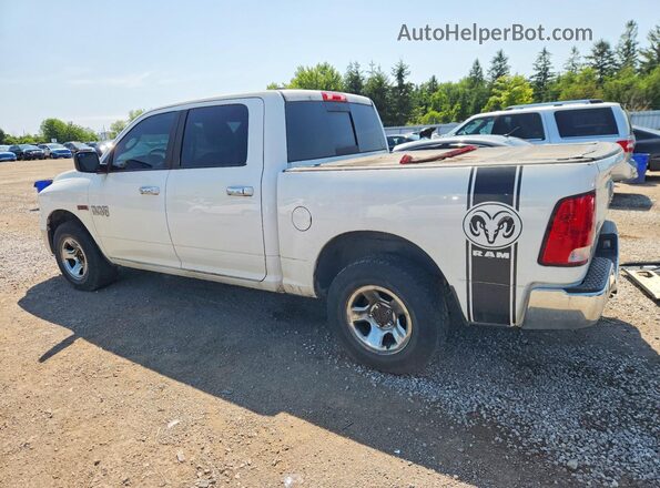 1C6RR7LM1GS158342 2016 RAM 1500 White Tył lewy