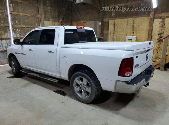 1C6RR7LM7HS874132 2017 RAM 1500 White Tył lewy