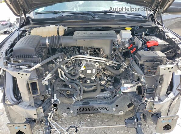 1C6SRECG6RN128559 2024 RAM 1500 Gray Вид задньої частини салону