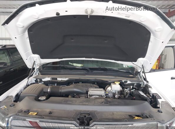 1C6SRFFT1RN181281 2024 RAM 1500 White Rear view