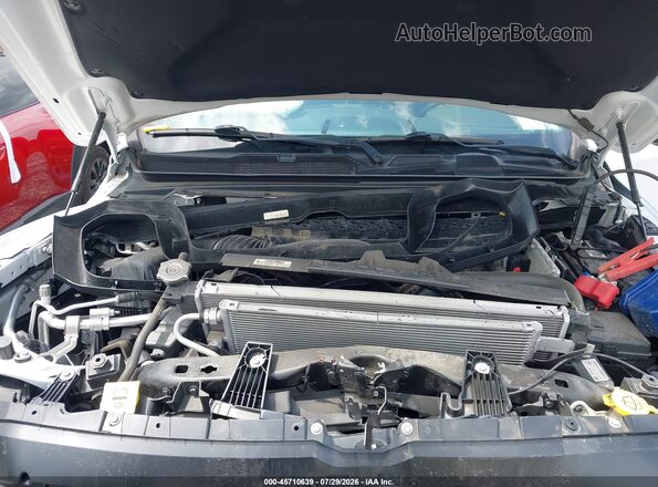1C6SRFLT6KN881775 2019 RAM 1500 Белый Вид сзади