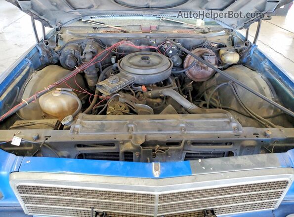 1D80H4R506884 1974 CHEVROLET EL Синий Вид задней части салона