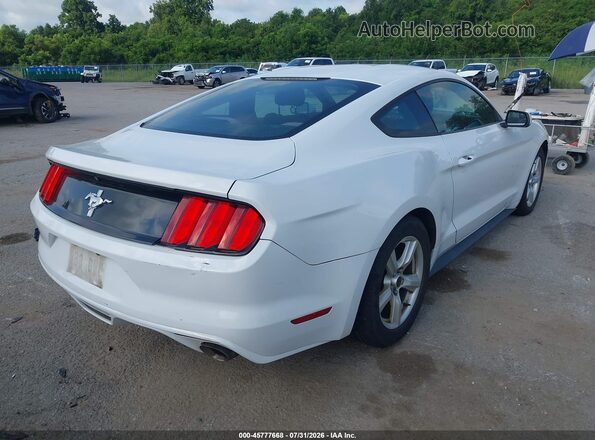 1FA6P8AM0H5342915 2017 FORD MUSTANG White უკანა მარჯვენა