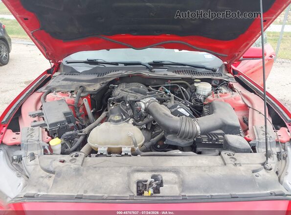 1FA6P8AM2H5276853 2017 FORD MUSTANG Red Widok z tyłu